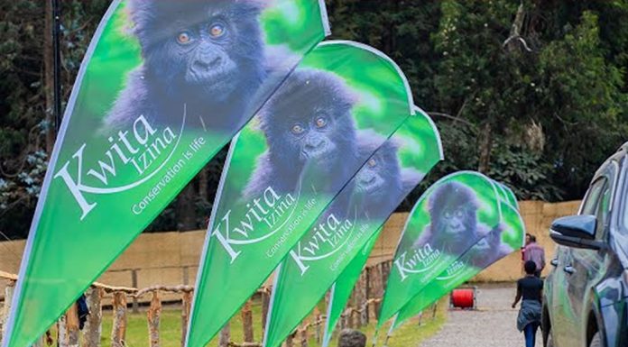 Kwita Izina Boosts Rwanda’s Tourism Kwita Izina