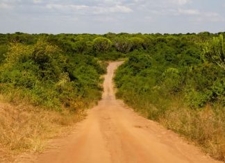 Uganda Hopes Improving Roads will Triple Tourist Numbers Uganda Road Trip