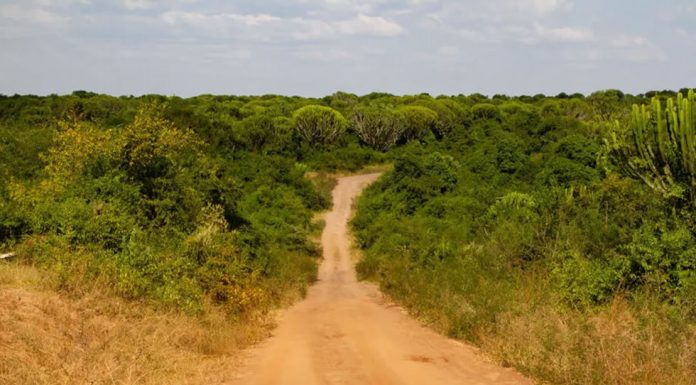 Uganda Hopes Improving Roads will Triple Tourist Numbers Uganda Road Trip