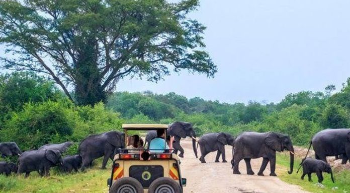 Challenges to Uganda Tourism Industry Uganda Tourism