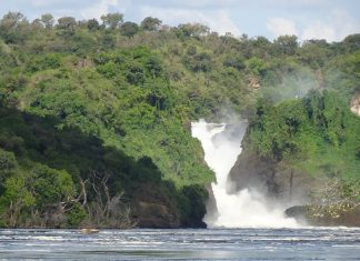 Uganda’s Murchison Falls National Park Will Impress You Murchison Falls of Uganda
