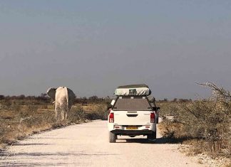 9 Self Driving Safety Tips for East Africa Visitors Self Driven Africa