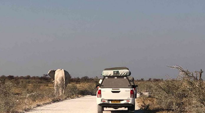 9 Self Driving Safety Tips for East Africa Visitors Self Driven Africa