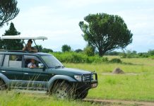 Key Driving Tips For A Safe Self Drive Road Trip In Uganda budget car rental uganda