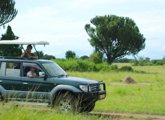 Key Driving Tips For A Safe Self Drive Road Trip In Uganda budget car rental uganda