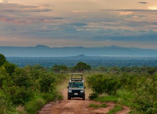 How to Avoid Scams or Tourist Traps in East Africa East Africa