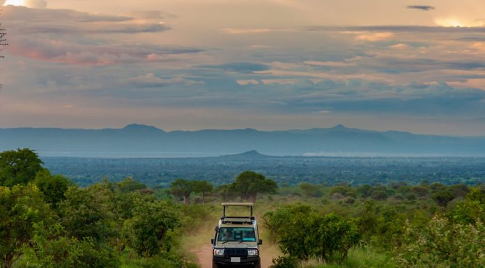 How to Avoid Scams or Tourist Traps in East Africa East Africa