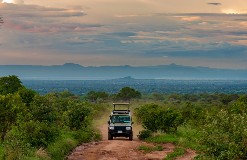 east-africa-parks East Africa