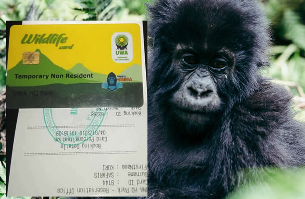 gorilla-permit Gorilla Permit