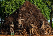 Rangers Build Mountain out of Wildlife Traps found in Ugandan park Snare Mountain in Uganda