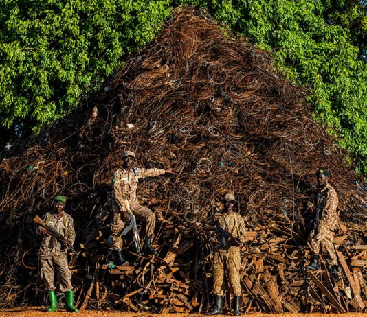 Rangers Build Mountain out of Wildlife Traps found in Ugandan park Snare Mountain in Uganda
