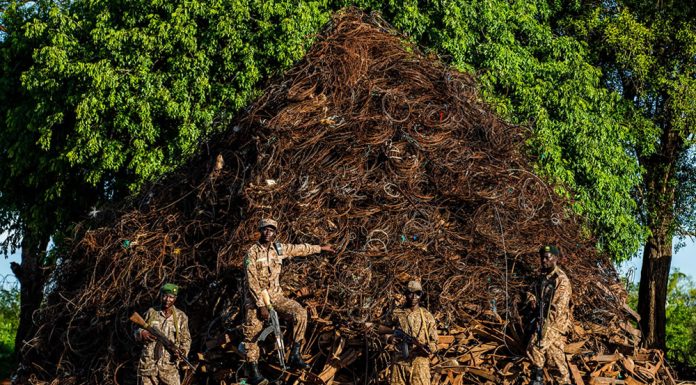 Rangers Build Mountain out of Wildlife Traps found in Ugandan park Snare Mountain in Uganda